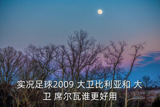 實況足球2009 大衛(wèi)比利亞和 大衛(wèi) 席爾瓦誰更好用
