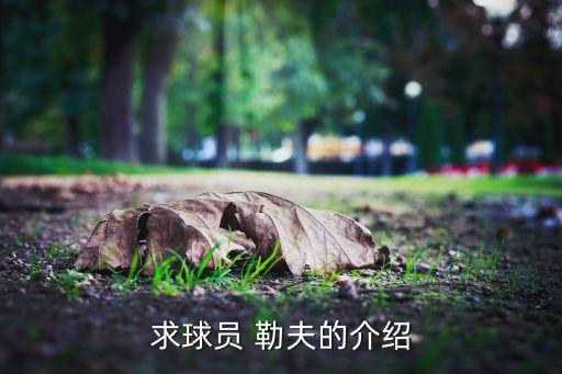 勒夫在哪個俱樂部,18歲球星勒夫出任足球俱樂部主教練