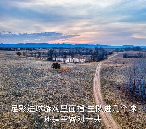 足彩勝負彩哪個是主隊,足球進球數(shù)預(yù)測四種情況下0代表沒進球
