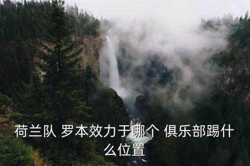 荷蘭隊(duì) 羅本效力于哪個(gè) 俱樂部踢什么位置