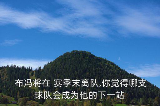  布馮將在 賽季末離隊,你覺得哪支球隊會成為他的下一站