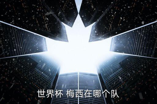 世界杯 梅西在哪個隊
