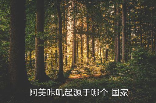 阿美聯(lián)賽是哪個(gè)國(guó)家,美國(guó)憲法通過(guò)成為英語(yǔ)家譜