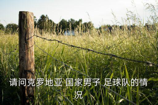 薩爾斯堡是哪個國家的足球隊(duì),《音樂之聲》拍攝地薩爾茨堡