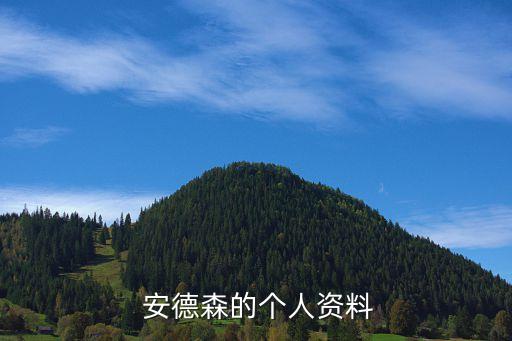  安德森的個人資料