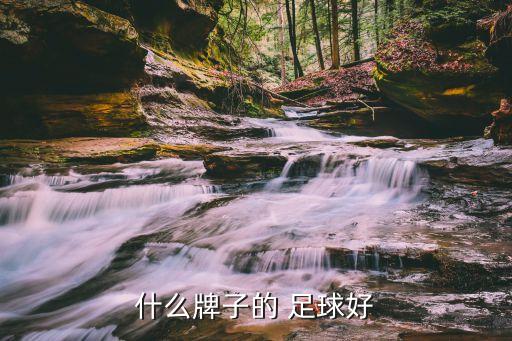 國產(chǎn)足球哪個(gè)好,火車頭足球質(zhì)量好價(jià)格適合50元丸子買