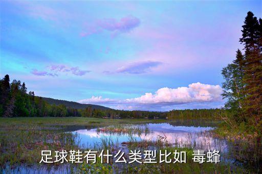 足球鞋有什么類型比如 毒蜂