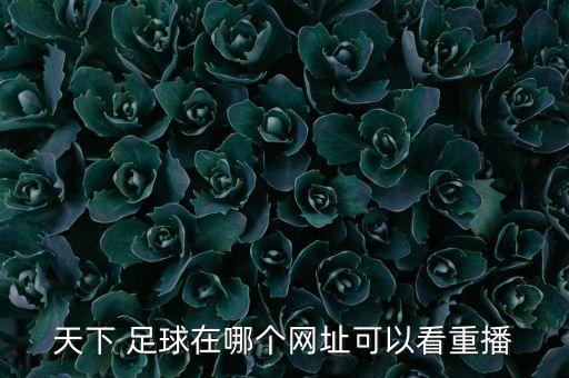 天下 足球在哪個(gè)網(wǎng)址可以看重播
