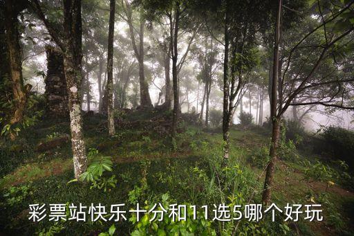 哪個(gè)省11選5銷量最高,直播學(xué)堂（6）:數(shù)碼樂(lè)園（1）