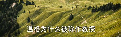  溫格為什么被稱作教授