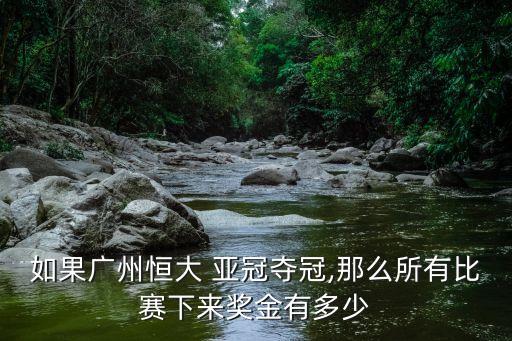 如果廣州恒大 亞冠奪冠,那么所有比賽下來(lái)獎(jiǎng)金有多少