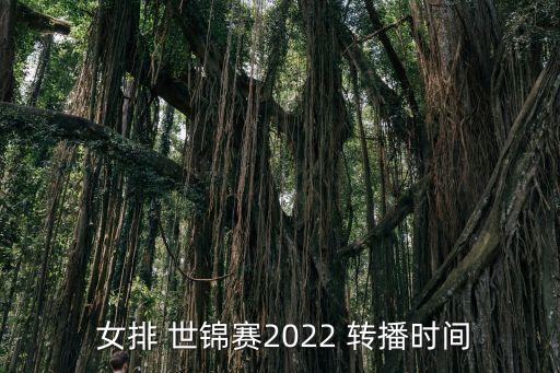 女排世錦賽哪個臺轉(zhuǎn)播,中國女排今晚直播世錦賽小組賽淘汰賽