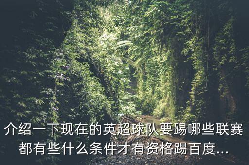 介紹一下現(xiàn)在的英超球隊要踢哪些聯(lián)賽都有些什么條件才有資格踢百度...