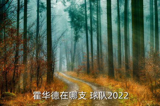 10年霍華德在哪個(gè)球隊(duì),nba球星霍華德退役
