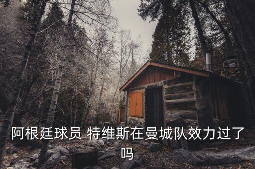 特維斯在哪個隊,踢人吃紅牌阿根廷球星特維斯下賽季停賽