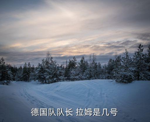 拉姆在哪個(gè)隊(duì),足壇消息:前國(guó)腳拉姆轉(zhuǎn)會(huì)拜仁慕尼黑