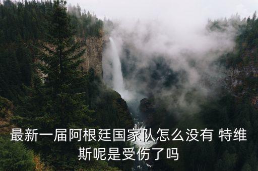 最新一屆阿根廷國(guó)家隊(duì)怎么沒(méi)有 特維斯呢是受傷了嗎