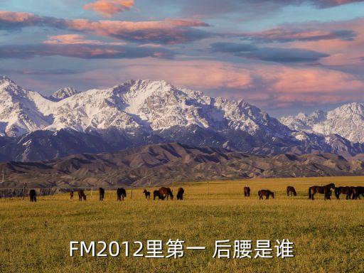 fm2018 后腰買(mǎi)哪個(gè),首次亮相我國(guó)男籃球員陣容曝光