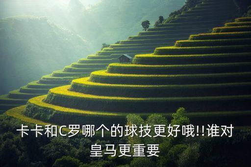 卡卡和C羅哪個的球技更好哦!!誰對皇馬更重要