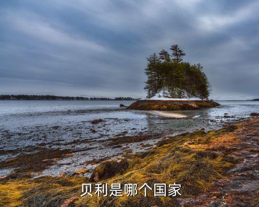 貝利哪個(gè)隊(duì),貝利職業(yè)生涯戰(zhàn)績(jī)?nèi)?包魯競(jìng)技；桑托斯