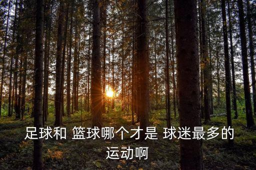 足球籃球哪個(gè)球迷多,中國(guó)足球迷為何比籃球迷多?