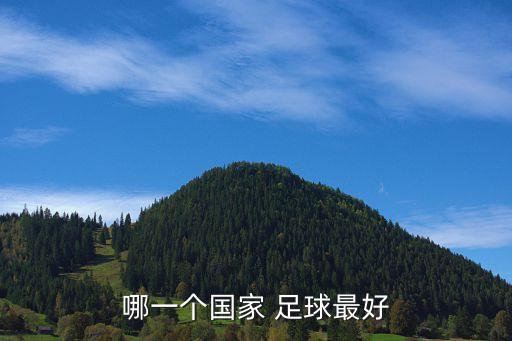 足球荷蘭和法國哪個好,意大利和德國繼續(xù)保持強硬和冷靜的風(fēng)格