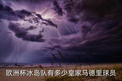桑德菲杰是哪個球隊,冰島公布23人名單皇馬除外