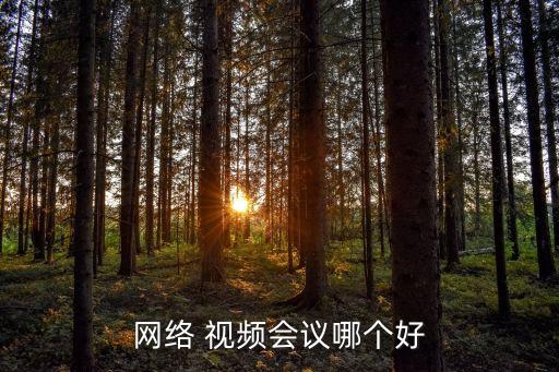 網(wǎng)絡(luò) 視頻會(huì)議哪個(gè)好