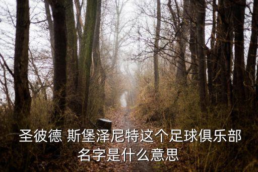 圣彼德 斯堡澤尼特這個(gè)足球俱樂(lè)部名字是什么意思
