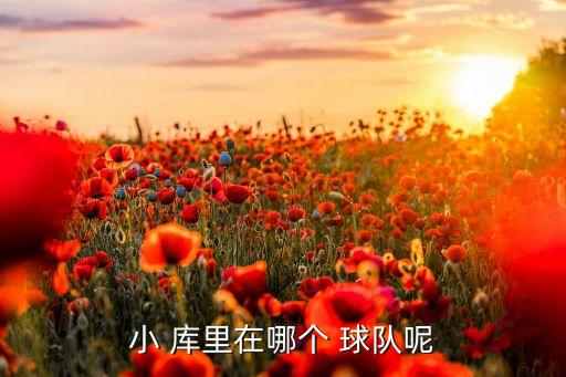 庫(kù)里弟弟在哪個(gè)球隊(duì),西蒙斯庫(kù)里杜蘭特之后談西班牙球賽