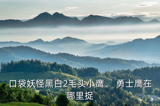 公路勇士是哪個國家,勇士鷹進化版圖揭曉