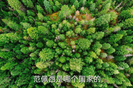 范佩西現(xiàn)在在哪個隊,范佩西我從小就喜歡足球