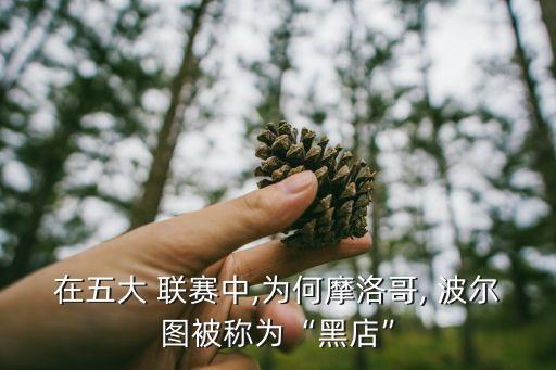 波爾圖是哪個(gè)聯(lián)賽,買賣球員讓你發(fā)財(cái)波爾圖賺了近8000萬