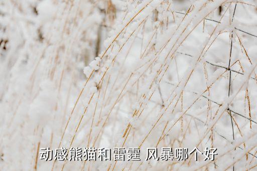 狂熱和風(fēng)暴哪個球隊強(qiáng),雷霆風(fēng)暴和飛雷風(fēng)暴各有優(yōu)勢各有千秋