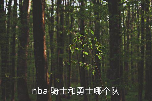 nba 騎士和勇士哪個(gè)隊(duì)