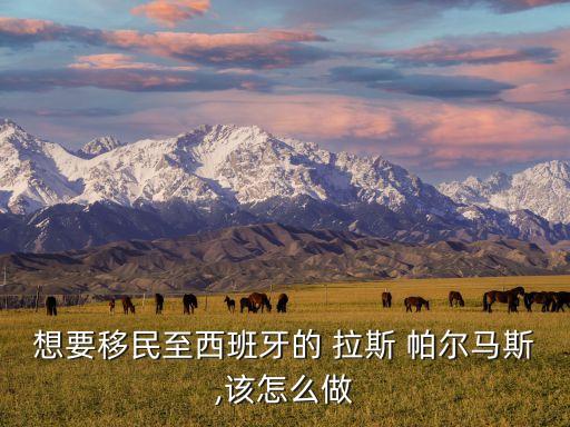 拉斯帕爾馬斯是哪個(gè)國(guó)家,加那利群島拉斯帕爾馬西班牙首府城市