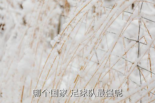 哪個(gè)足球隊(duì)爆發(fā)過(guò),世界杯卡塔爾對(duì)陣:日本勝克羅地亞顯示優(yōu)勢(shì)