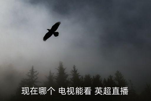 現(xiàn)在哪個(gè) 電視能看 英超直播