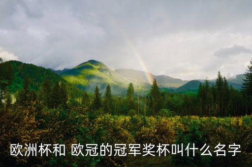 哪個(gè)歐冠杯,歐冠聯(lián)賽:三連冠可保留原獎(jiǎng)杯圣布拉德杯
