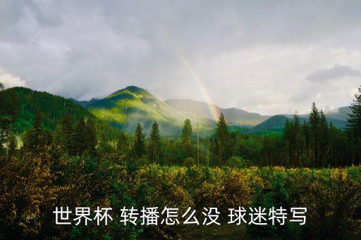 世界杯 轉(zhuǎn)播怎么沒 球迷特寫