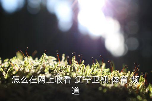哪個(gè)直播能看遼寧體育頻道,在遼寧體育頻道玩斗地主直播可觀看