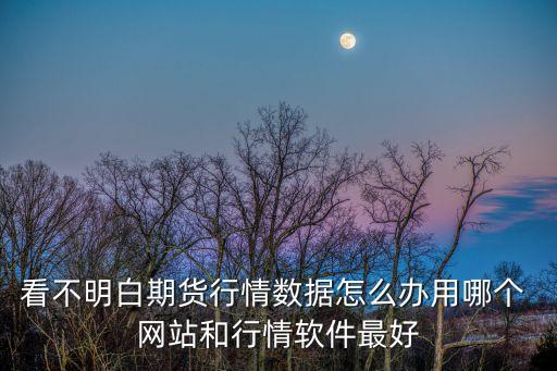 看不明白期貨行情數據怎么辦用哪個 網站和行情軟件最好