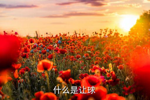 哪個(gè)隊(duì)是讓球方,讓球是一種賭博國(guó)足輸給業(yè)余球隊(duì)