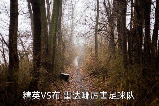 精英VS布 雷達(dá)哪厲害足球隊(duì)