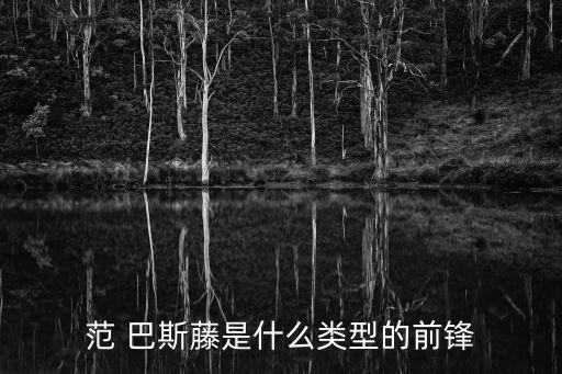范巴斯滕打哪個(gè)位置,足壇消息:巴斯滕曾是米蘭國(guó)家隊(duì)主力