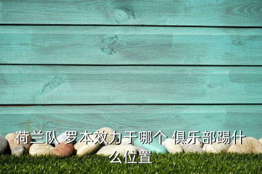 荷蘭隊 羅本效力于哪個 俱樂部踢什么位置