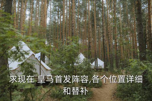 求現(xiàn)在 皇馬首發(fā)陣容,各個位置詳細(xì)和替補