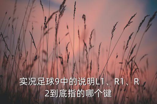  實(shí)況足球9中的說明L1、R1、R2到底指的哪個(gè)鍵