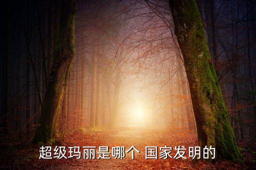 超級瑪麗是哪個 國家發(fā)明的