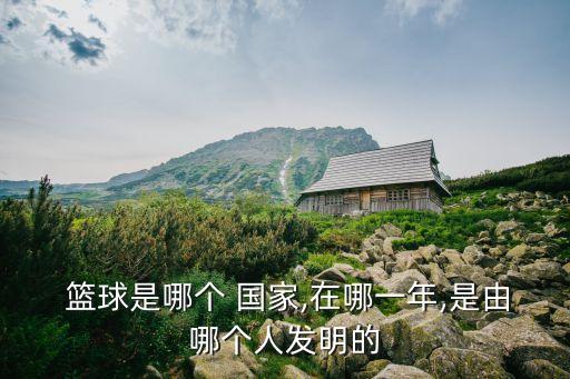 籃球國王是哪個(gè)國家,國王team是nba早期職業(yè)籃球隊(duì)
